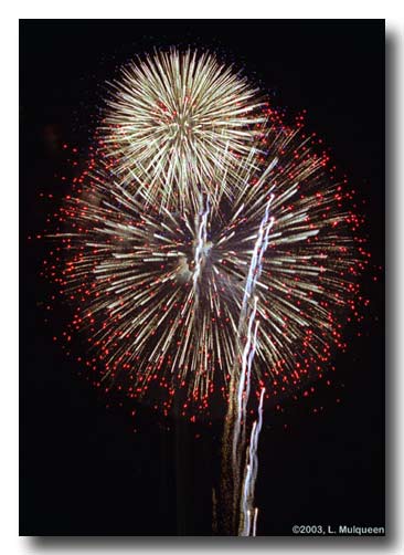 fireworksforwebsite.jpg